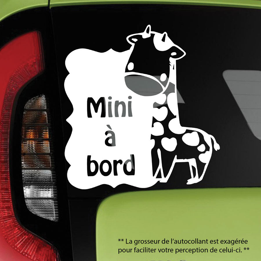 Bébé à bord