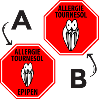 Étiquettes Allergie